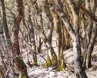Oil on canvas, 120 x 150 cm Oil on canvas, 120 x 150 cm